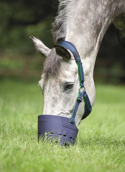 Flexi Grazer Muzzle Pony