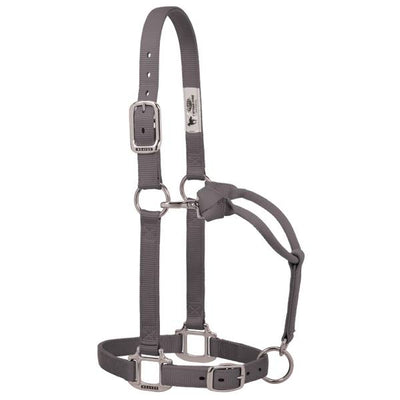 Licol ajustable en nylon Weaver - Poulain sevré/Poney 