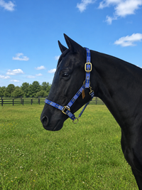 PLAID STRIPE NYLON HALTER