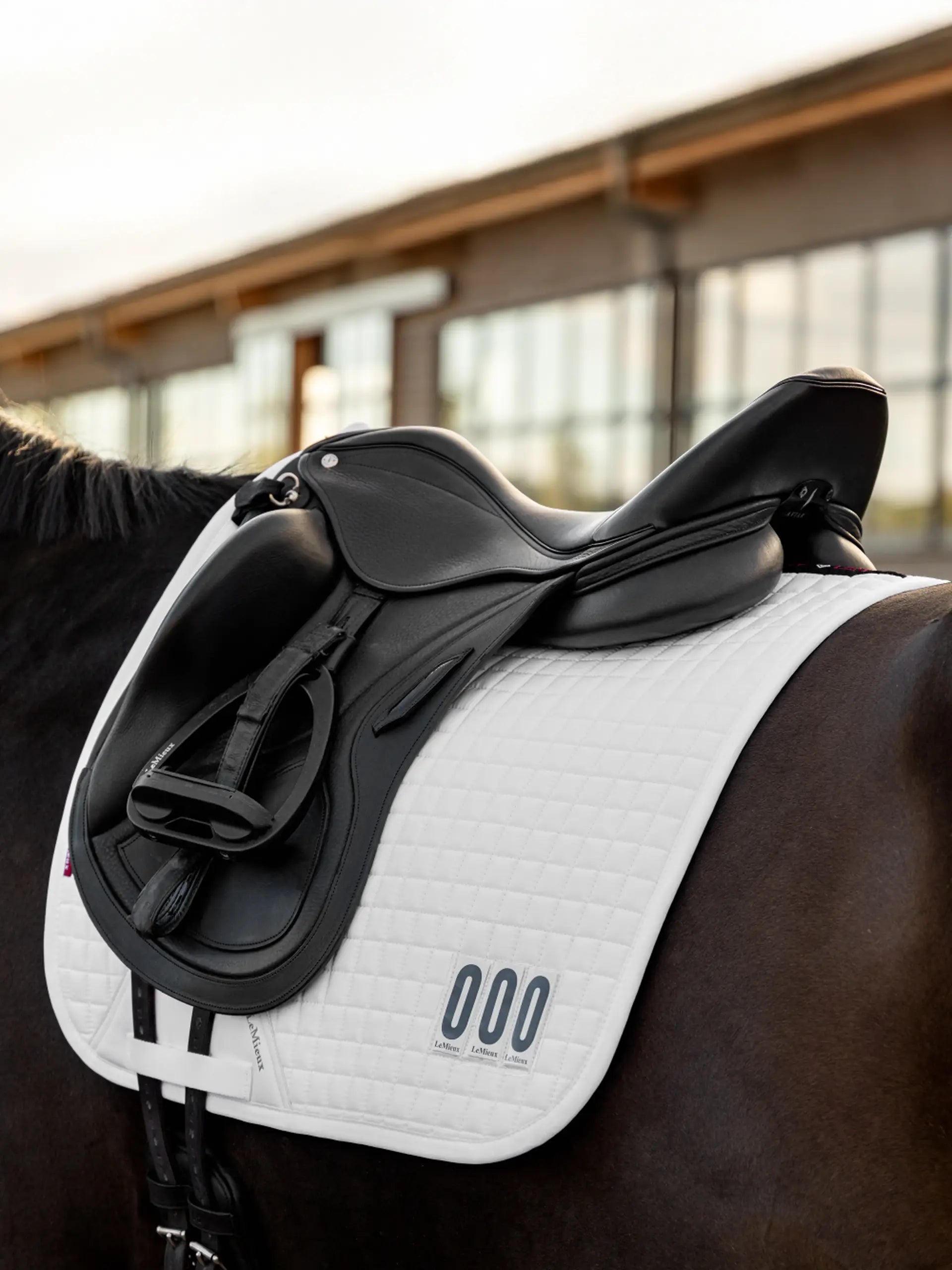 Lemeiux Cotton Dressage Competition Square White