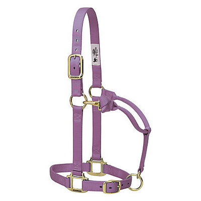 Licol ajustable en nylon Weaver - Petit cheval