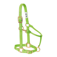 WEAVER ADJUSTABLE NYLON HALTER - WEANLING/PONY