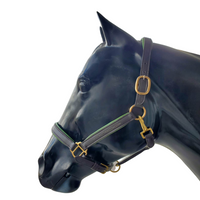 LEATHER HALTER WITH COLOURED PADDING - HORSE