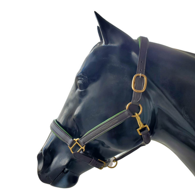 licol en cuir avec rembourrage coloré - cheval