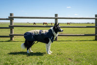 CENTURY TIGER DELUXE DOG COAT