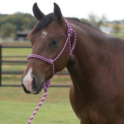 Equisential Rope Halter