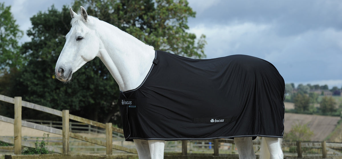 BUCAS POWER COOLER - Clearance