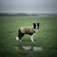 Century Deluxe 420D Dog Rain Coat