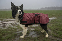 Century Deluxe 420D Dog Rain Coat