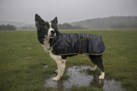 Century Deluxe 420D Dog Rain Coat
