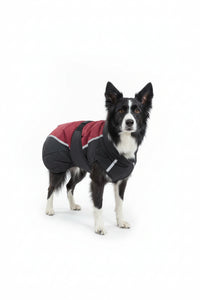 CENTURY TIGER DELUXE DOG COAT - RED/BLACK