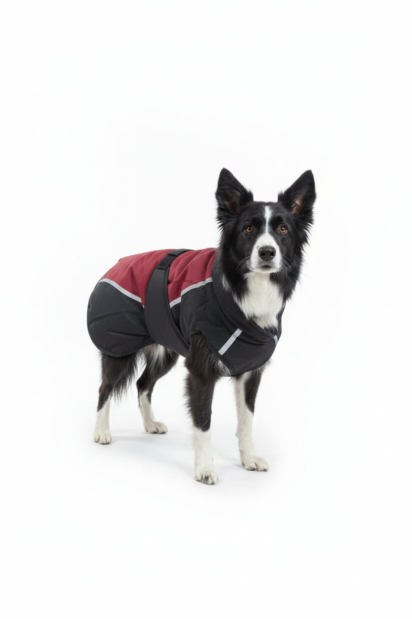 CENTURY TIGER DELUXE DOG COAT - RED/BLACK