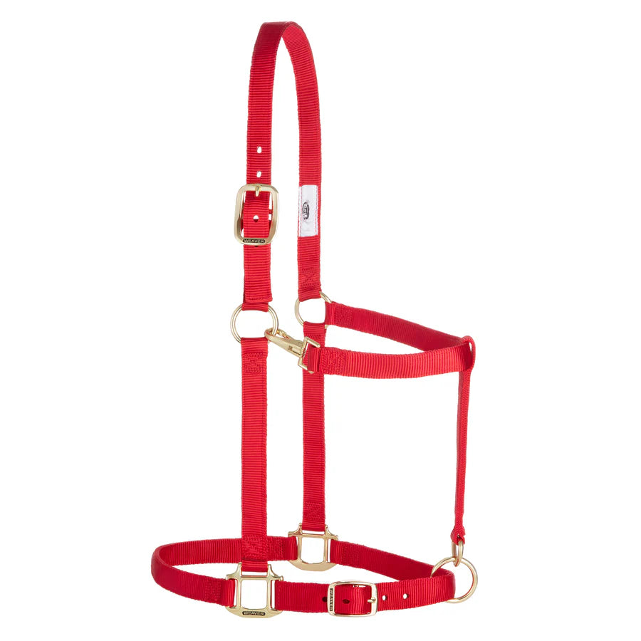 WEAVER NYLON ADJUSTABLE DRAFT HALTER - AVERAGE 1"