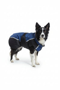 CENTURY TIGER DELUXE DOG COAT - BLUE/BLACK