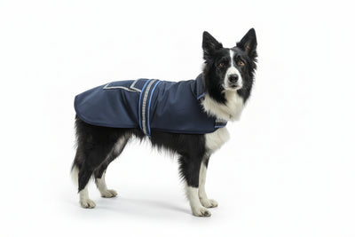 CENTURY TIGER SOFTSHELL DOG COAT