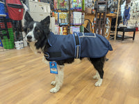 CENTURY TIGER SOFTSHELL DOG COAT