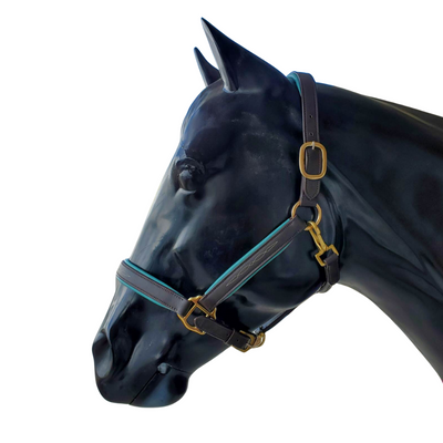 licol en cuir avec rembourrage coloré - cheval