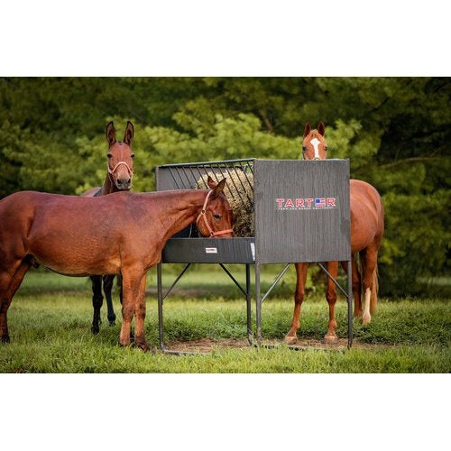 EQUINE ELEVATED HAY & GRAIN FEEDER