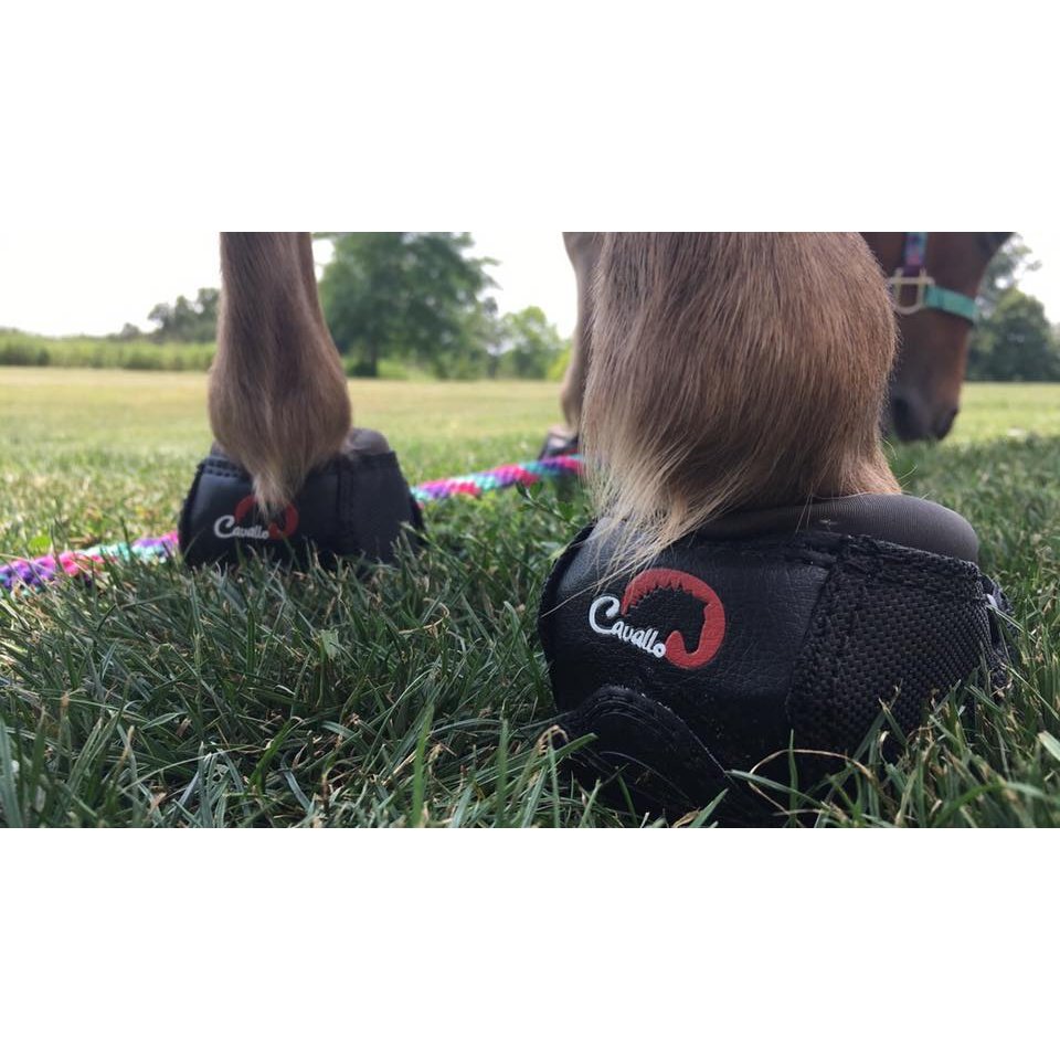 CAVALLO MINI BOOTS