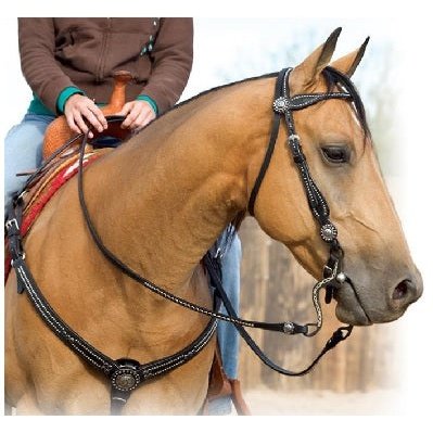 WEAVER LEATHER BACK IN BLACK HEADSTALL