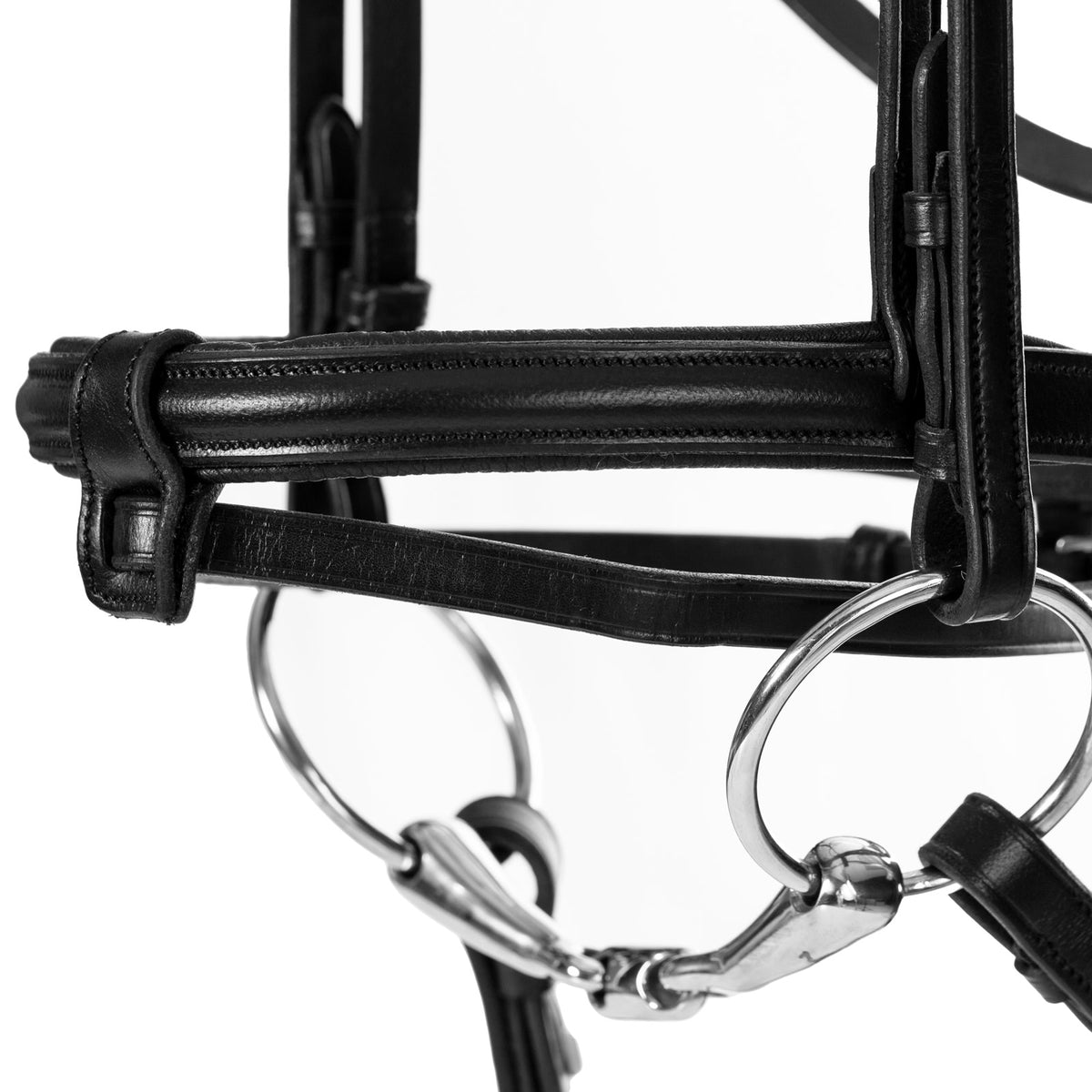 EQUINAVIA SAGA PADDED DRESSAGE BRIDLE & REINS