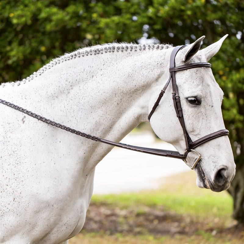 EQUINAVIA VALKYRIE FANCY STITCHED HUNTER BRIDLE - CHOCOLATE