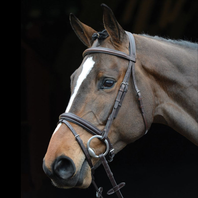 COLLEGIATE COMFORT CROWN PADDED RAISED FLASH BRIDLE - BROWN