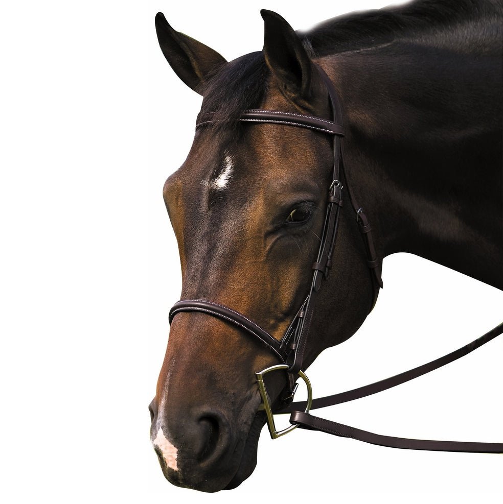 HDR PLAIN RAISED BRIDLE FULL