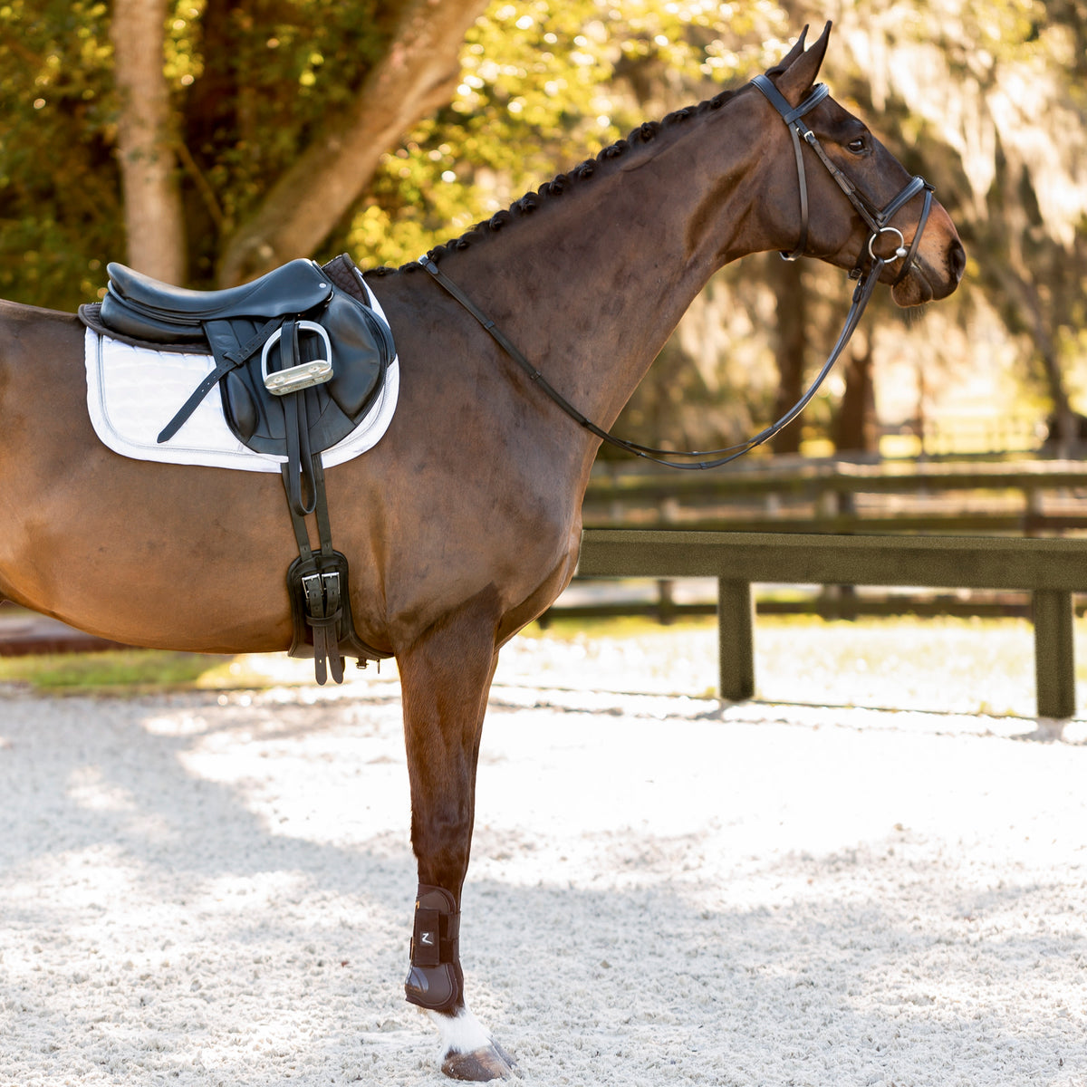 EQUINAVIA SAGA PADDED DRESSAGE BRIDLE & REINS