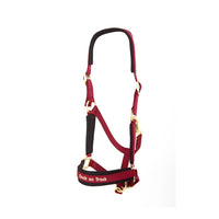 BACK ON TRACK WERANO HALTER