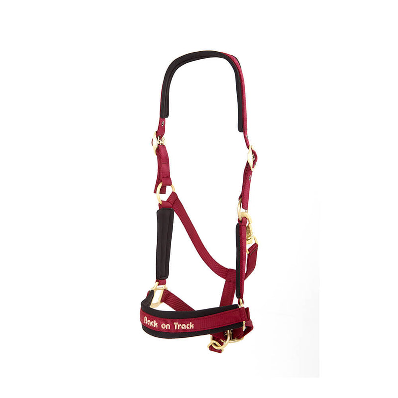 BACK ON TRACK WERANO HALTER