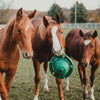 CLASSIC EQUINE HANGING RING KONG