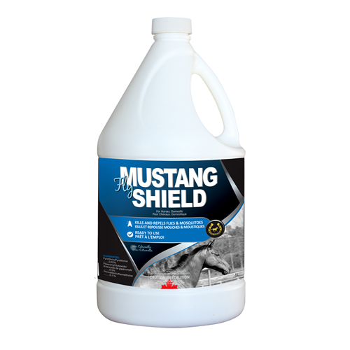 Mustang Fly Shield 3.8L