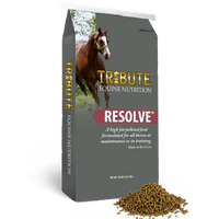 Tribute Resolve Grey