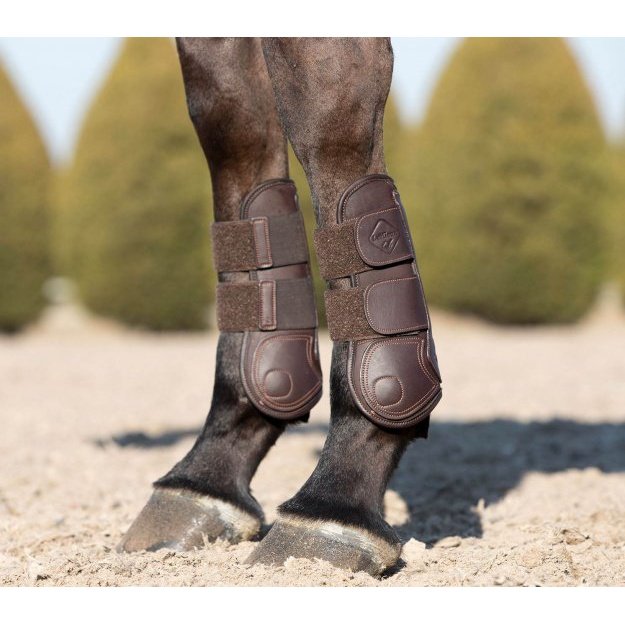 LEMIEUX CAPELLA TENDON BOOTS