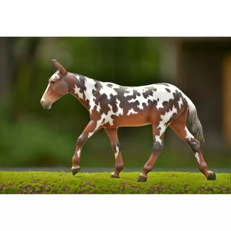 Breyer Buckeye