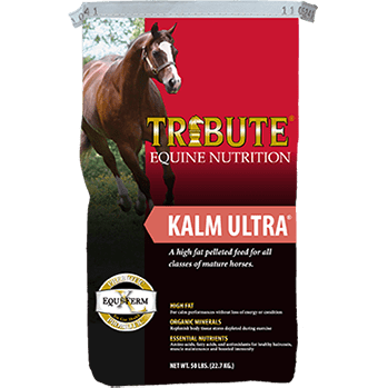 Tribute Kalm Ultra Red