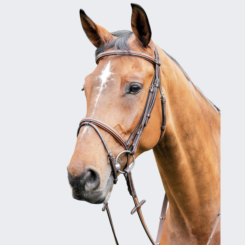 PRESTIGE TWO TONED FANCY STITCHED BRIDLE - FULL TOBACCO