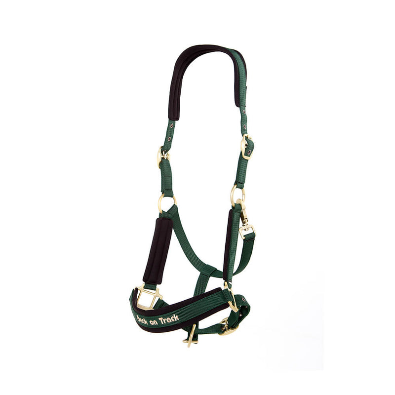 BACK ON TRACK WERANO HALTER