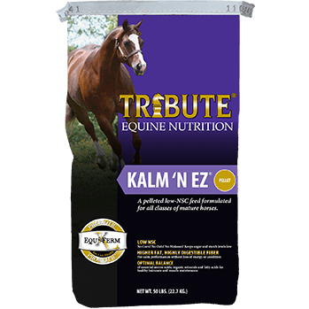 Tribute Kalm 'N EZ Purple