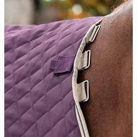 HORSEWARE AMIGO STABLE PLUS - 200G DISC FRONT