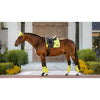 LEMIEUX LOIRE SATIN DRESSAGE PAD - SPRING 2023