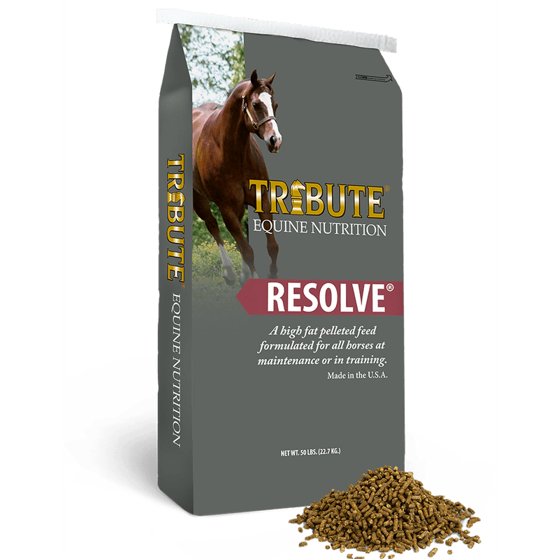 Tribute Resolve Grey