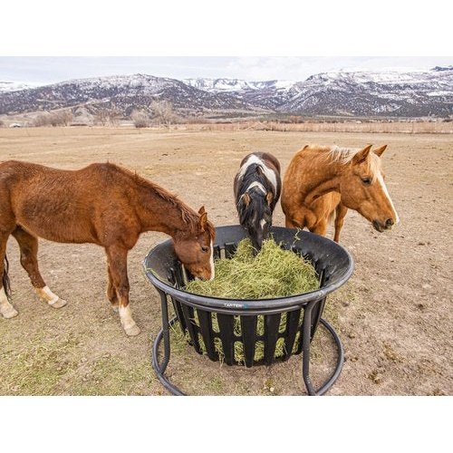 EQUINE HAY BASKET