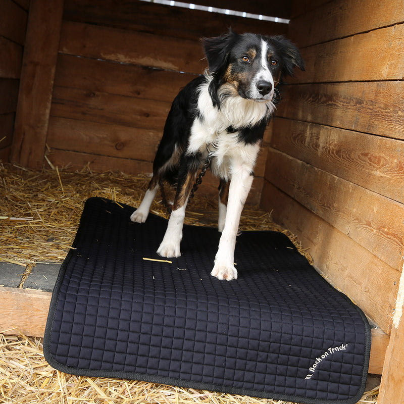 BACK ON TRACK DOG MATTRESS