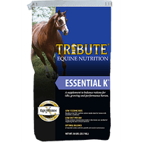 Tribute Essential K Blue