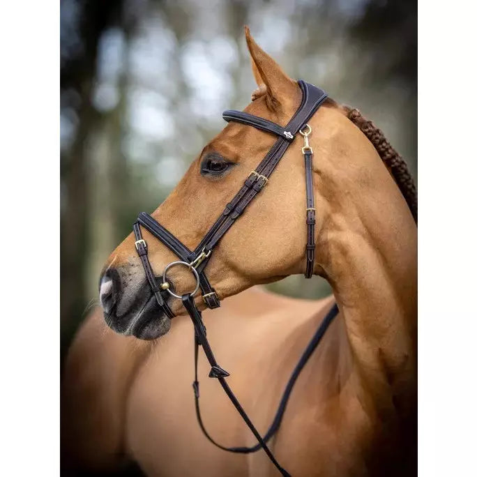 LEMIEUX  WORK BRIDLE - BROWN FULL