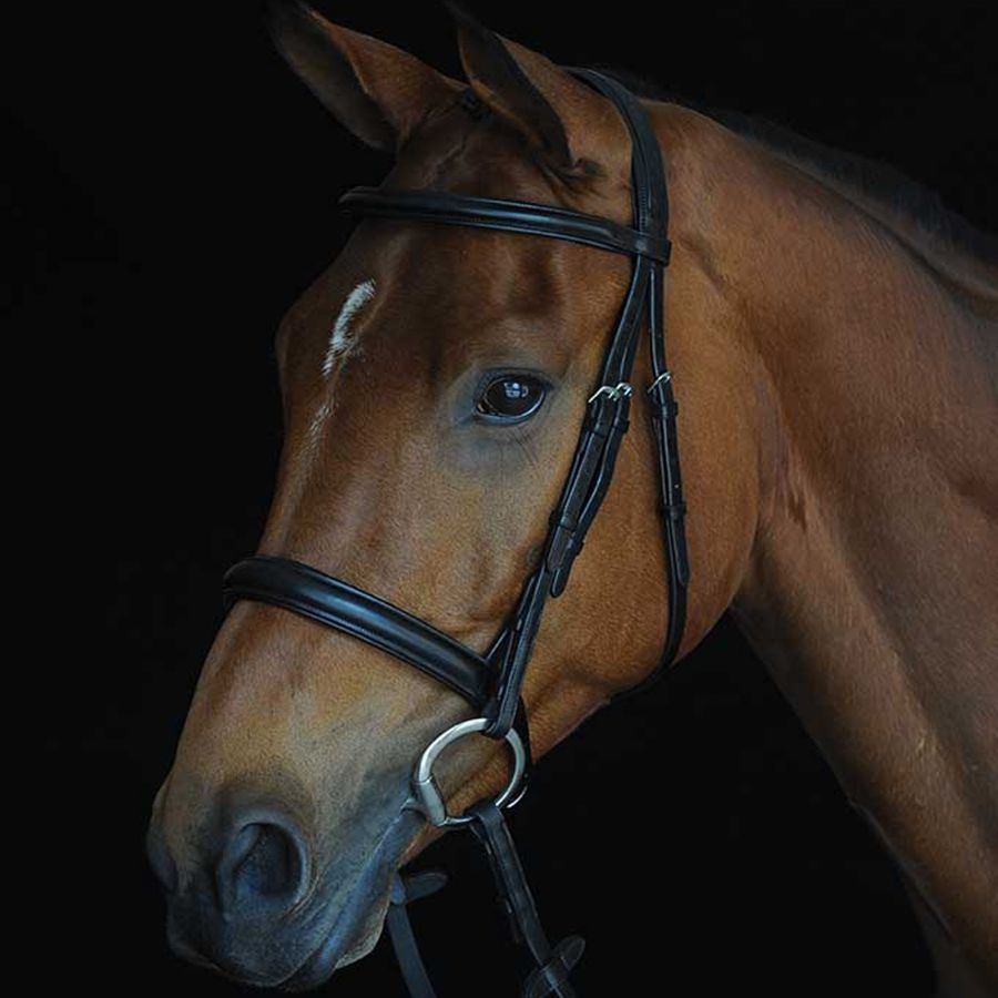 COLLEGIATE COMFORT CROWN PADDED RAISED BRIDLE