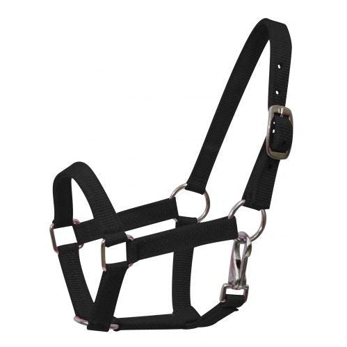 MINI/FOAL NYLON HALTER