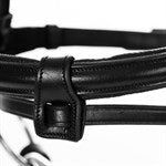 EQUINAVIA SAGA PADDED DRESSAGE BRIDLE & REINS